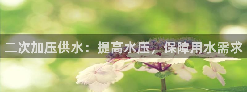 球友会破解码