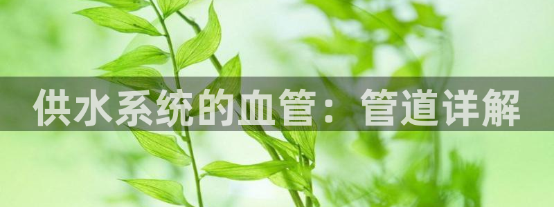 球友会提款