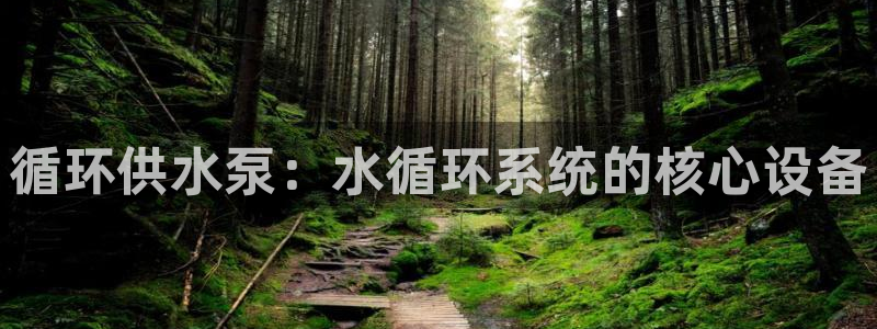 球友会体育app官方版下载安装最新