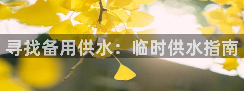 球友会怎么样