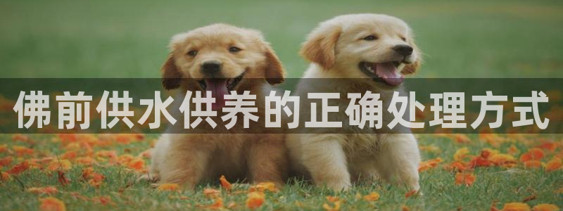 球友会在线登录