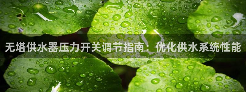 qy球友会体育怎么样