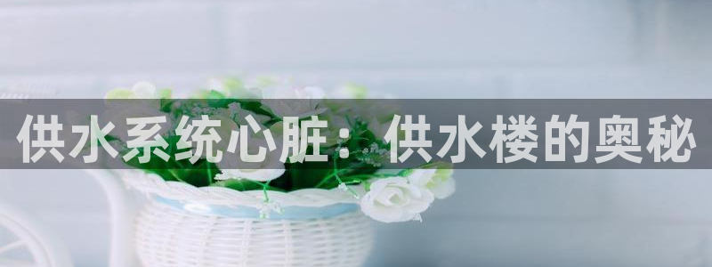 球友会是什么