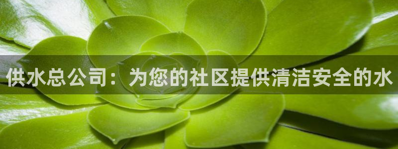 球友会地址