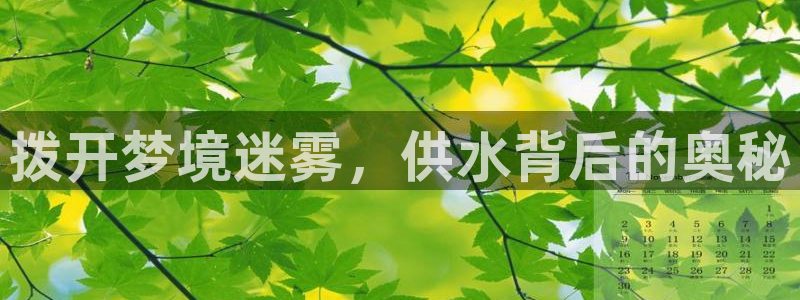 球友会比赛结果查询系统