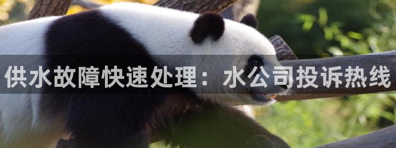 球友会兑换码