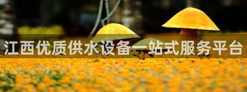 球友会地址