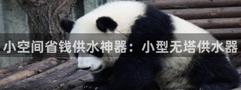 qy球友会体育官下载