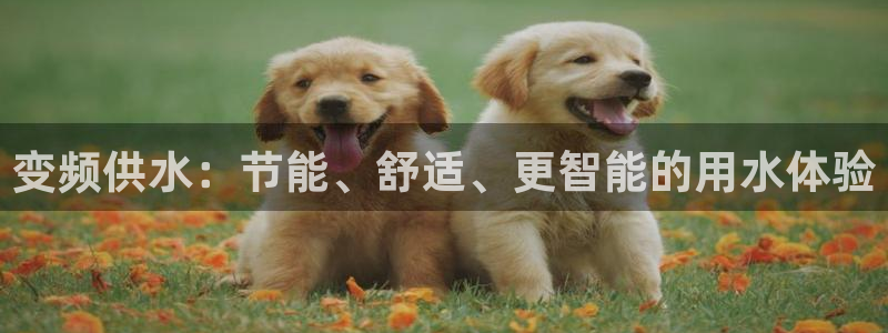 球友会登录地址