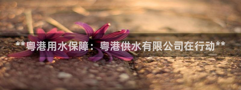 球友会官网下载