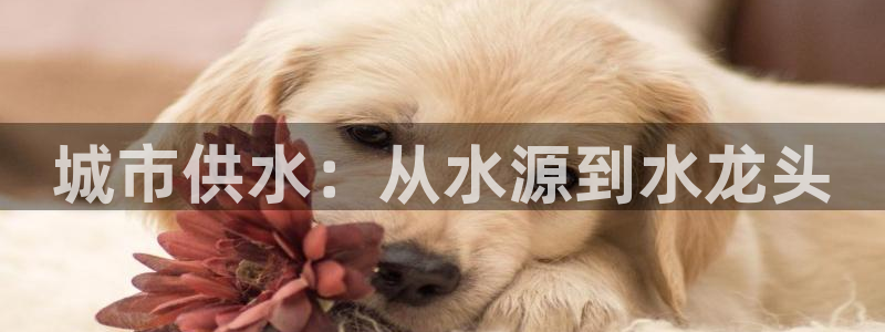 球友会在线登录账号吗知乎