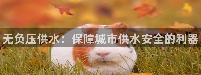球友会体育app官方版下载安装苹果