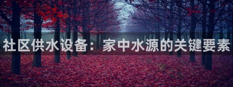 球友会联赛