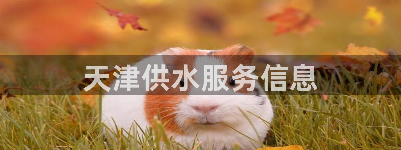 球友会审核
