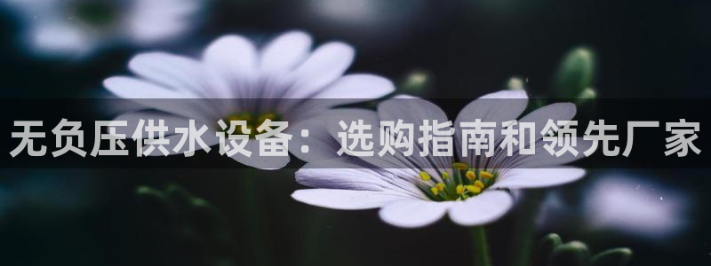 qy球友会体育(中国)官方网站