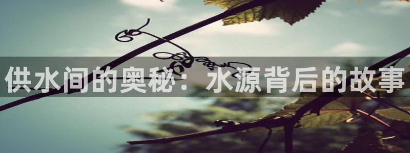 球友会能提现吗