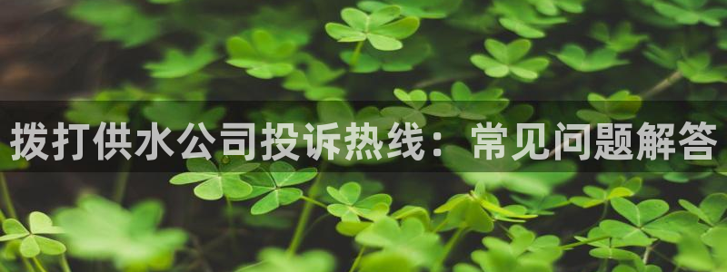 球友会网站多少