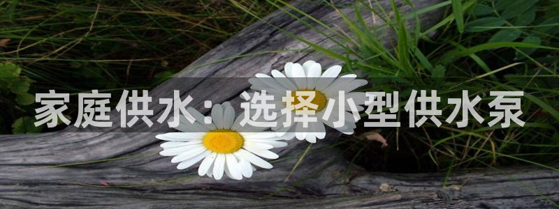 球友会聚餐发言怎么说