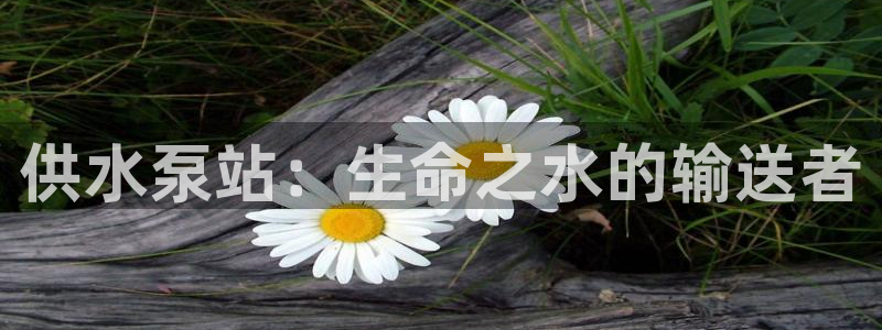 球友会app网址
