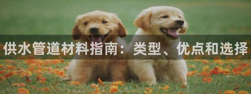 球友会体育app官方版下载安装苹果手机