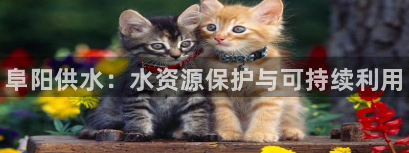 qy球友会体育官下载