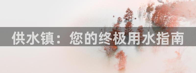 球友会比赛结果查询系统