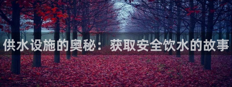 球友会破解码