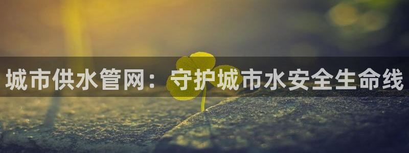 球友会官网入口在哪里