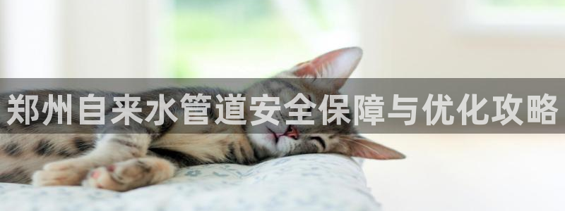 球友会曼联赛事