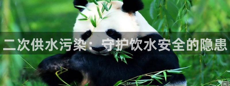 球友会官网入口在哪里