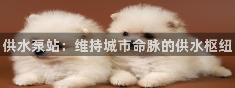 球友会链接