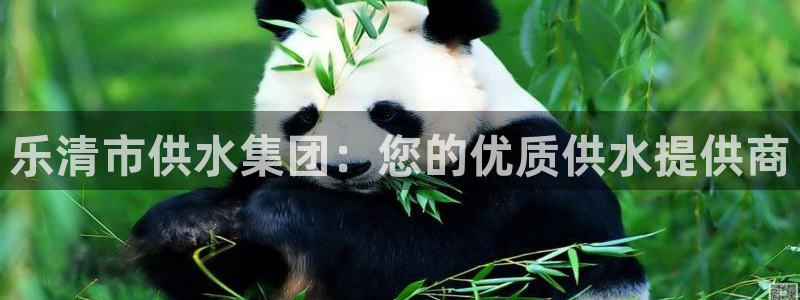 球友会兑换码