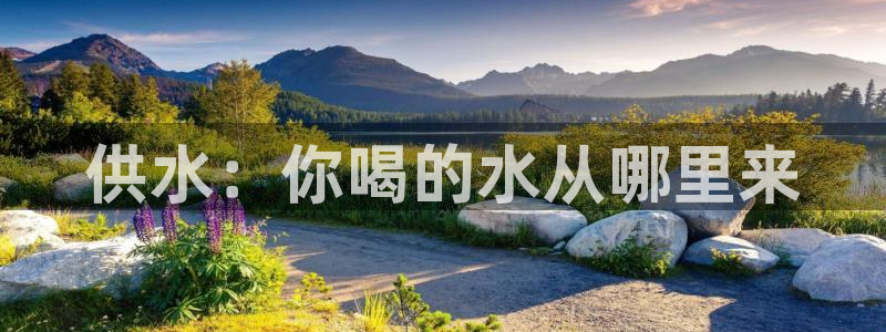 球友会比尔森胜利塔波斯科