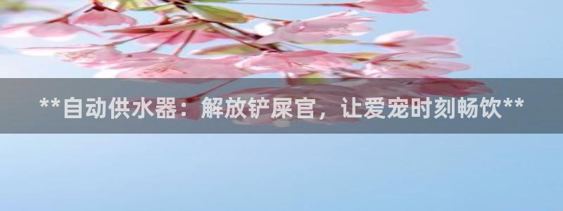 球友会登录网站怎么登录