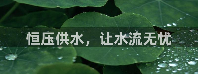 球友会兑换码