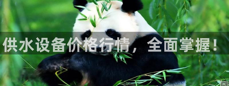 球友会比赛结果查询系统