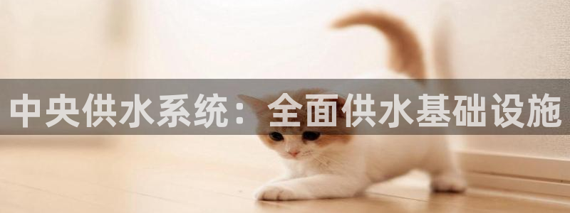 球友会怎么样