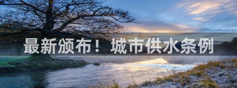 球友会登录网站