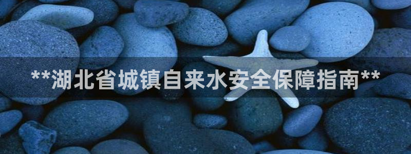 球友会赛程