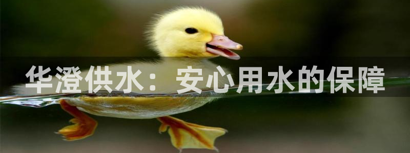 qy球友会体育