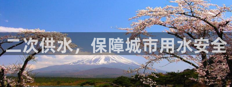 qy球友会体育官下载