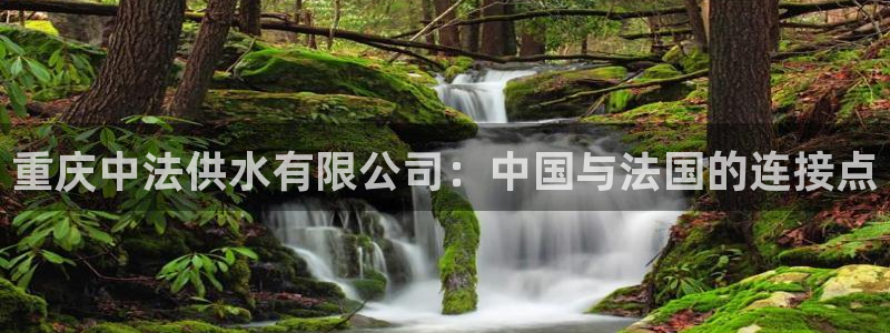 qy球友会体育