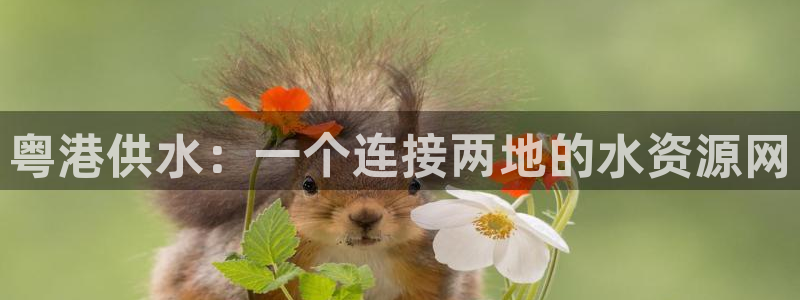 球友会在线登录账号吗