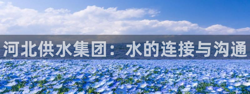 球友会体育app下载安卓最新版