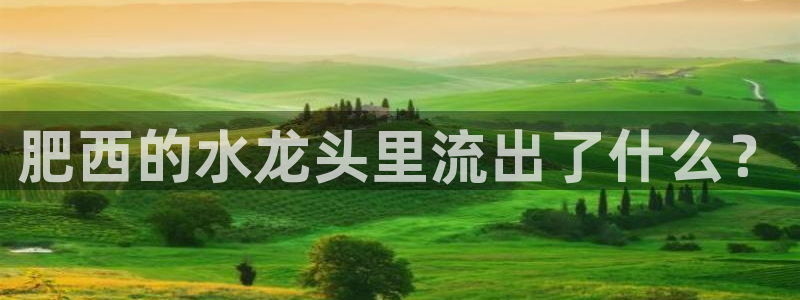 球友会体育app下载官网安卓