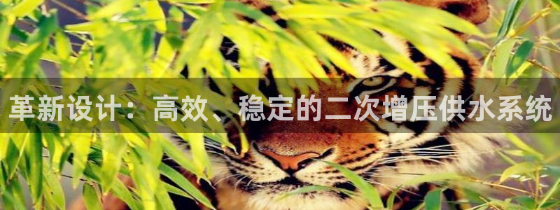 球友会app官网下载