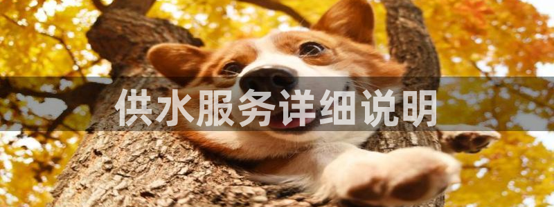 球友会体育app下载官网安卓