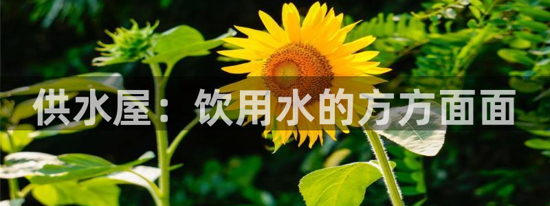 球友会登录地址