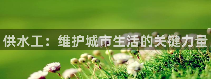 球友会提现不到账