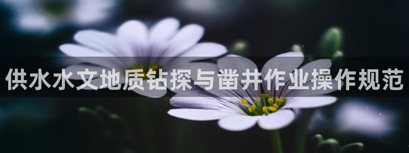 qy球友会体育官网下载